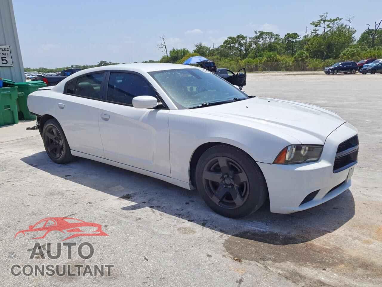 DODGE CHARGER 2013 - 2C3CDXAT9DH706909