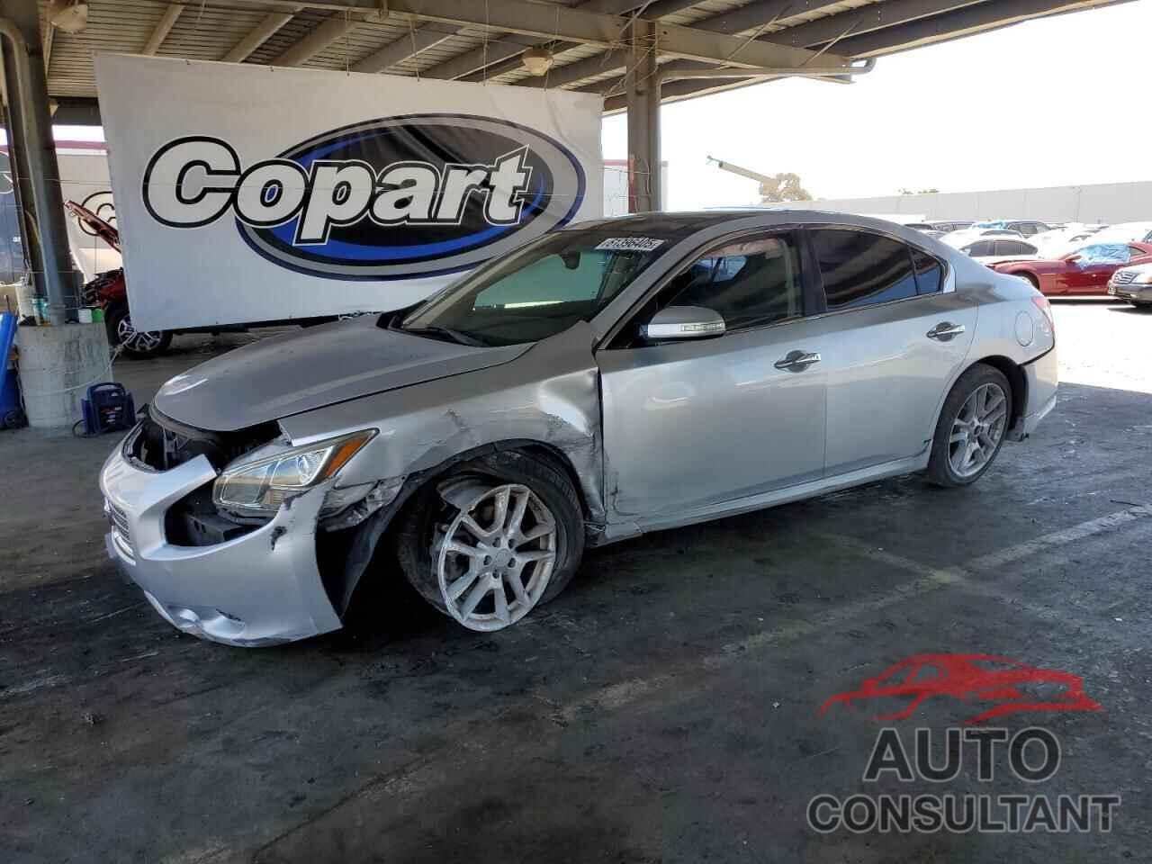 NISSAN MAXIMA 2011 - 1N4AA5AP6BC842259
