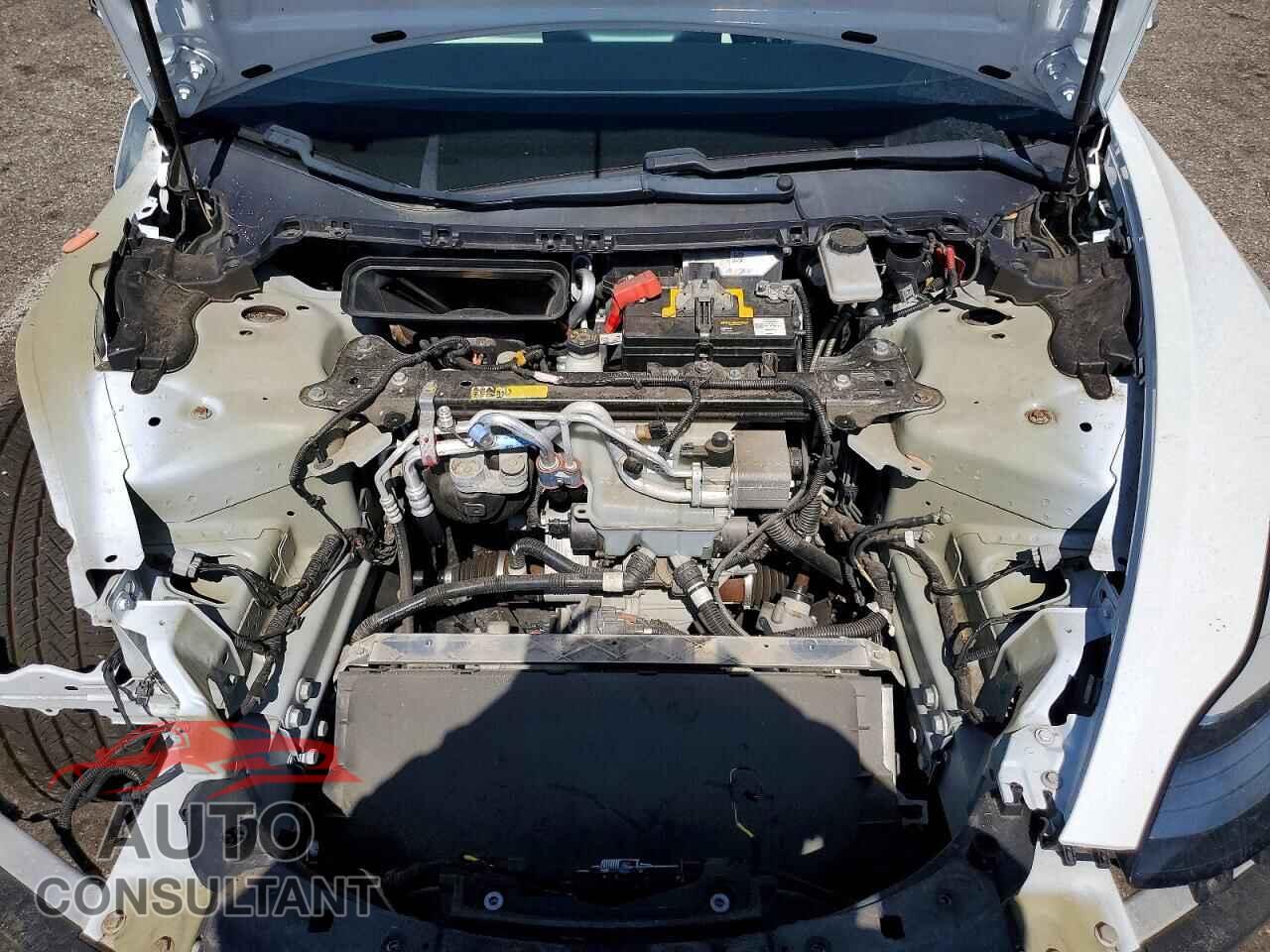 TESLA MODEL 3 2018 - 5YJ3E1EB8JF135552