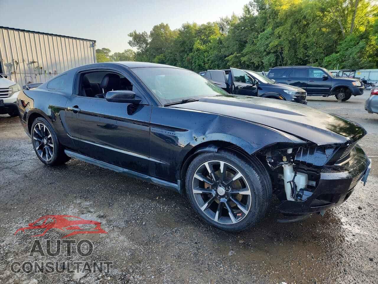 FORD MUSTANG 2011 - 1ZVBP8AM2B5162798