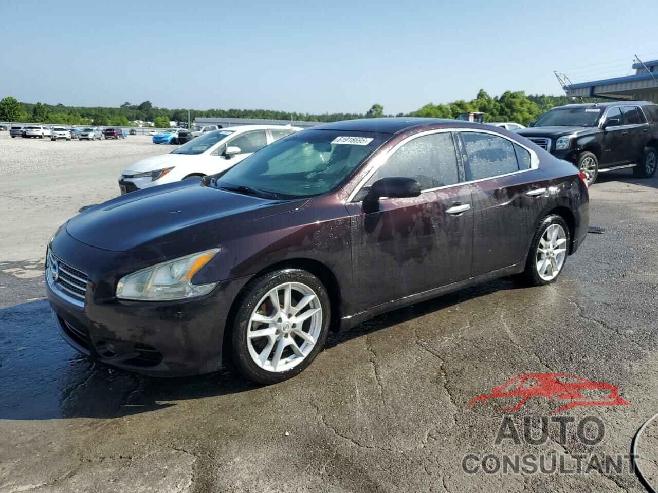 NISSAN MAXIMA 2011 - 1N4AA5AP4BC851512