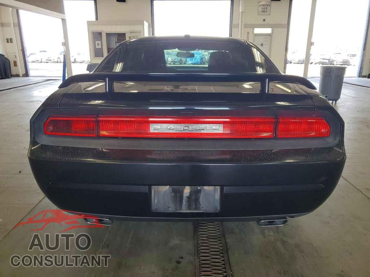 DODGE CHALLENGER 2014 - 2C3CDYAG2EH299381
