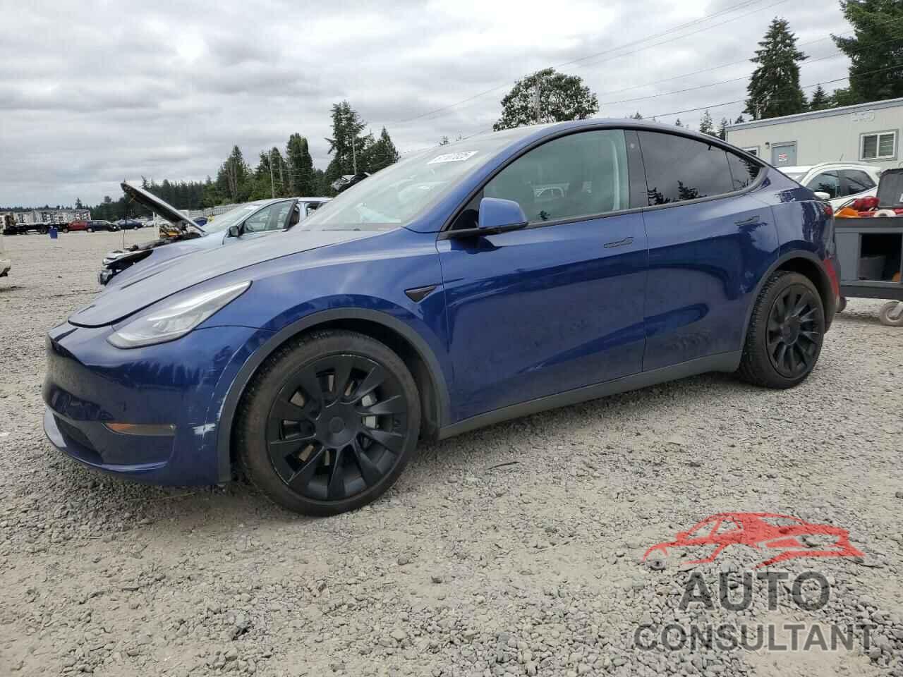 TESLA MODEL Y 2020 - 5YJYGDEEXLF011894