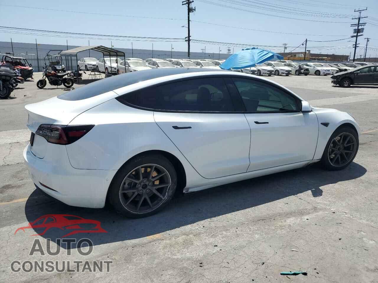 TESLA MODEL 3 2021 - 5YJ3E1EA1MF998205