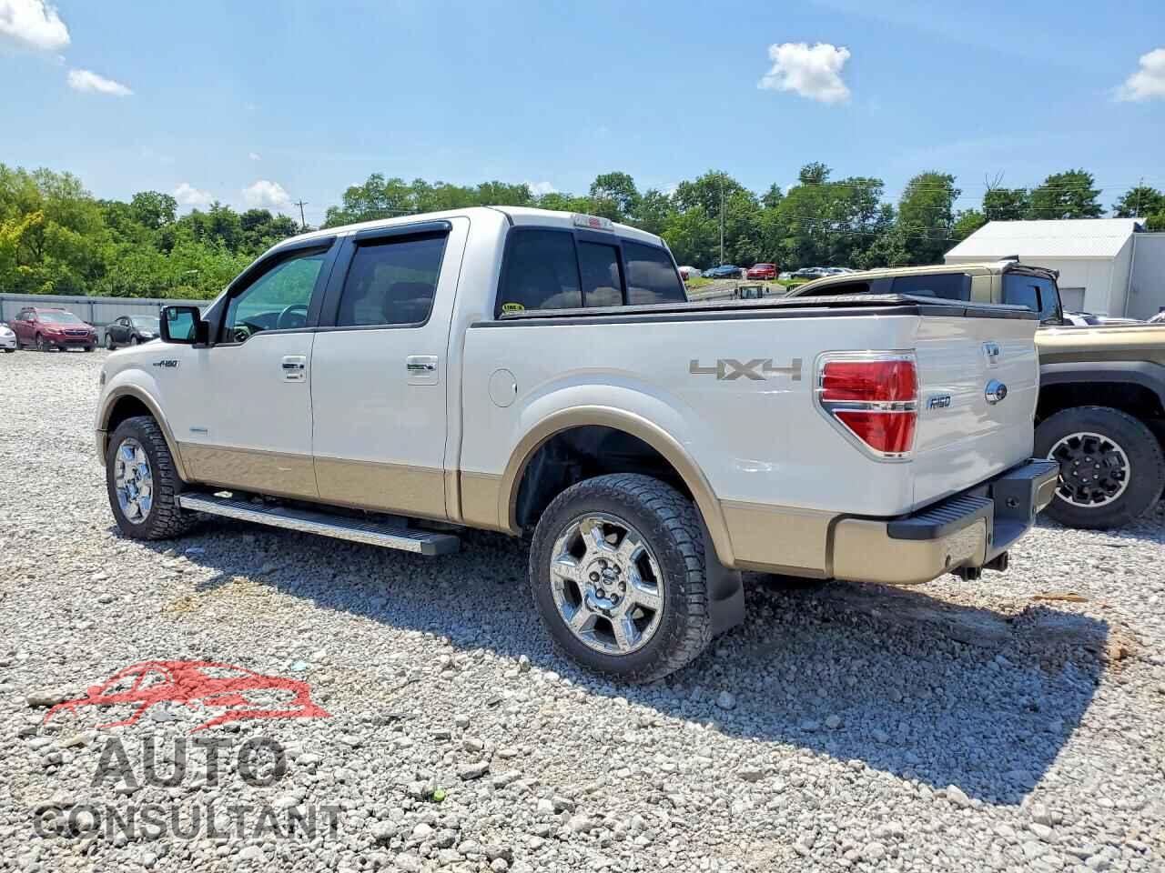 FORD F150 2014 - 1FTFW1ET5EKF17954