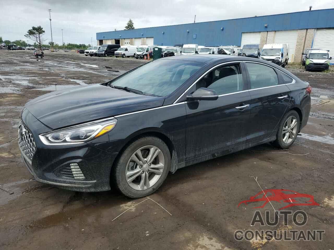 HYUNDAI SONATA 2019 - 5NPE34AF6KH804297