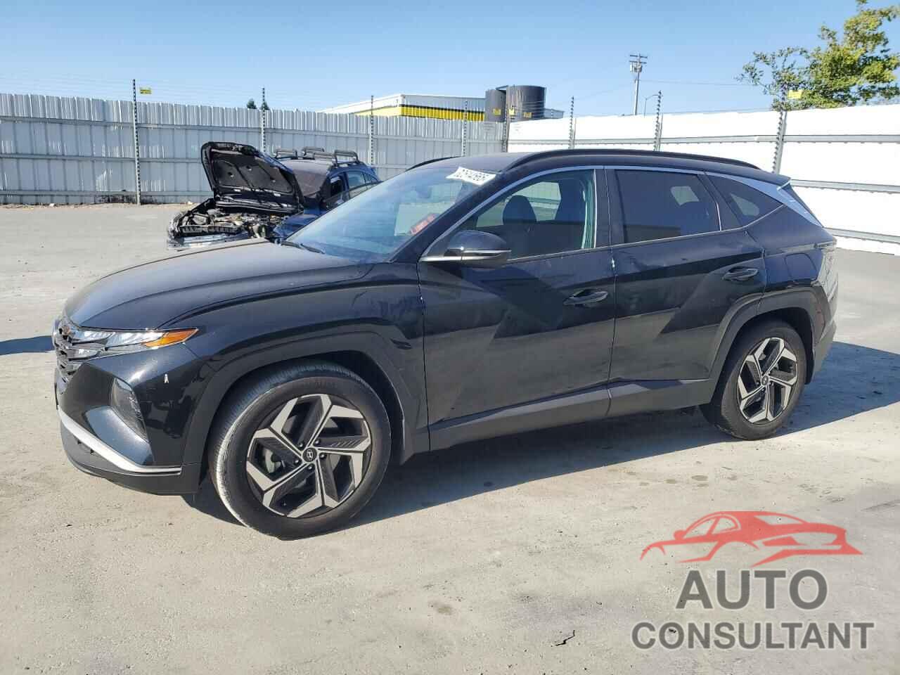 HYUNDAI TUCSON 2024 - 5NMJF3DE6RH308653
