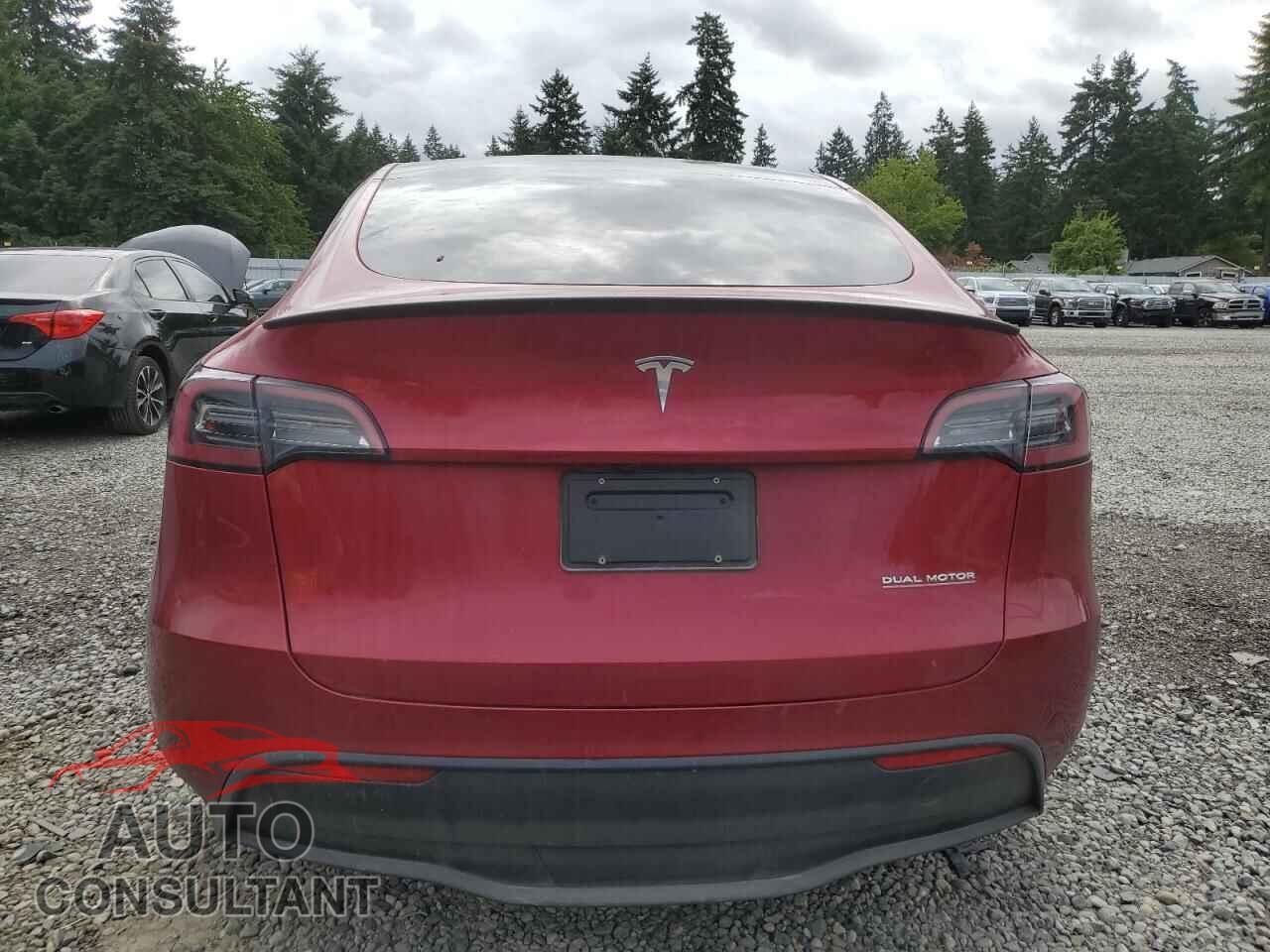 TESLA MODEL Y 2024 - 7SAYGDEF3RF193152
