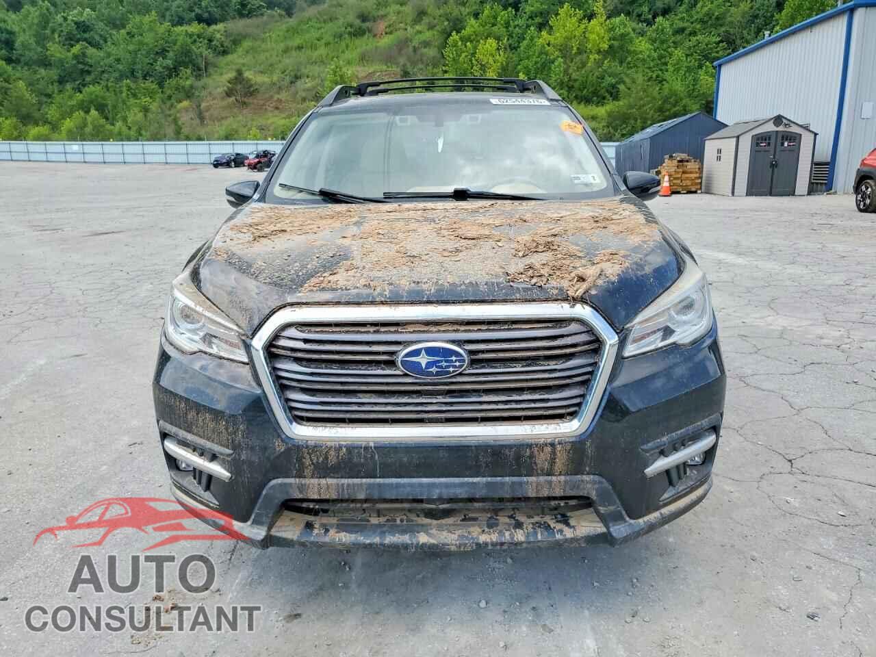 SUBARU ASCENT 2021 - 4S4WMAPD4M3457228