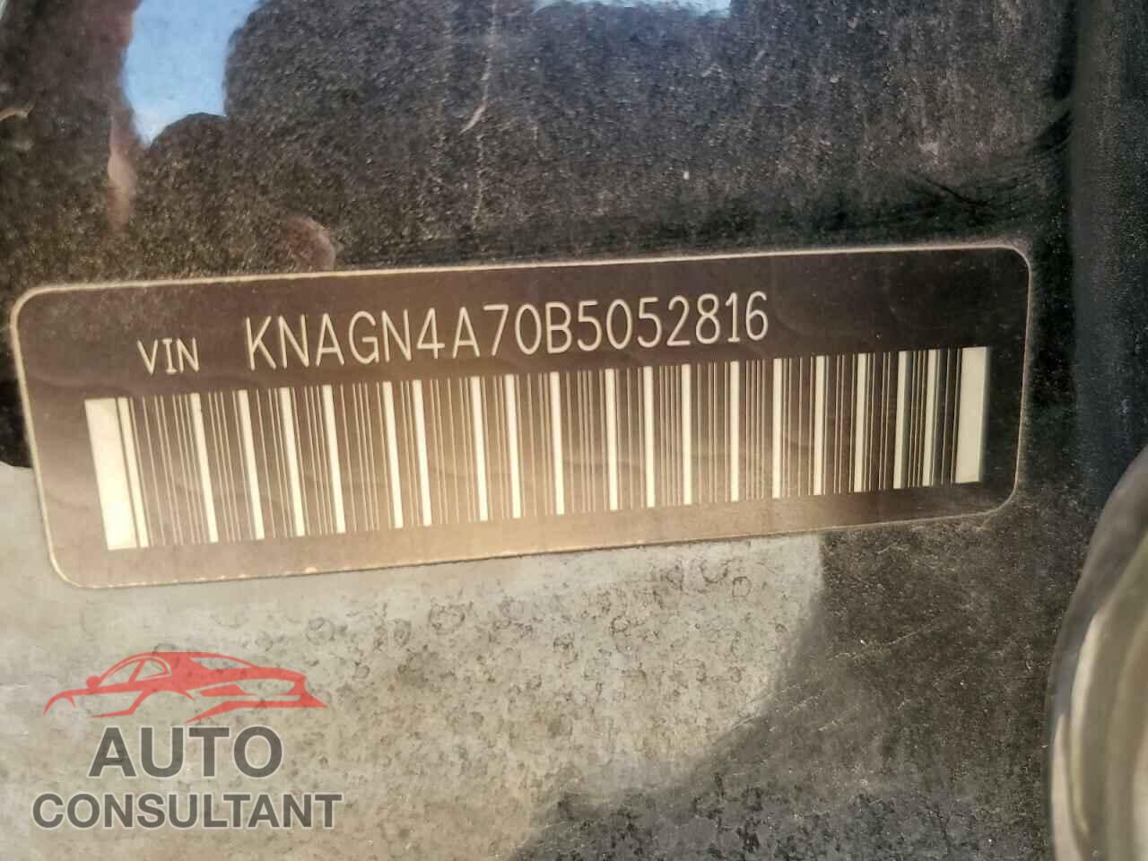 KIA OPTIMA 2011 - KNAGN4A70B5052816