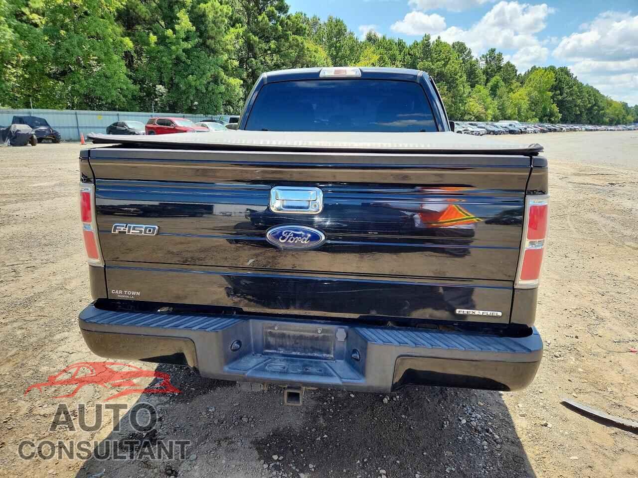 FORD F150 2013 - 1FTFX1CF8DFC54103