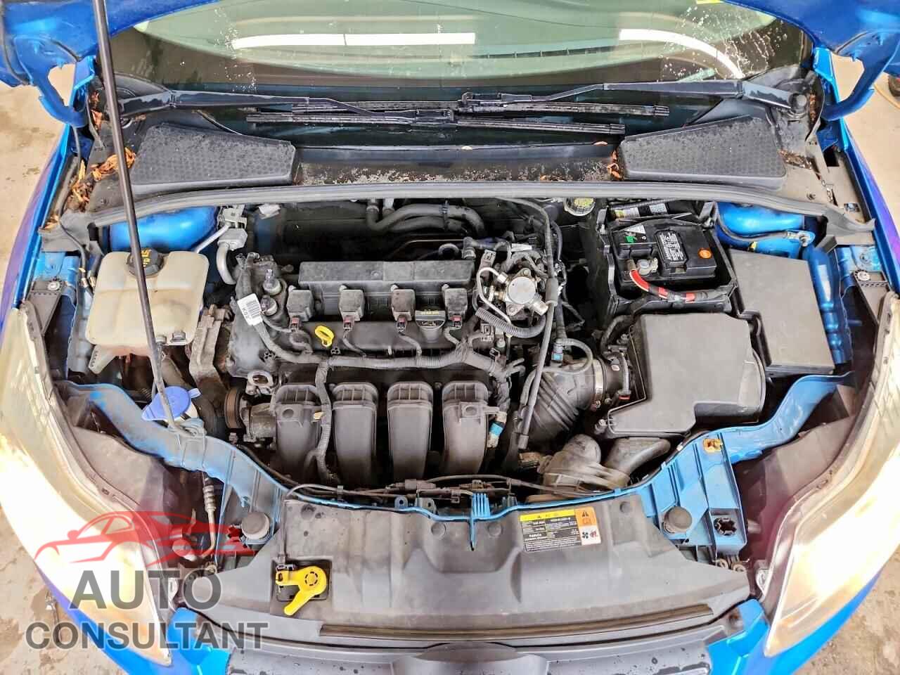 FORD FOCUS 2014 - 1FADP3K23EL268131