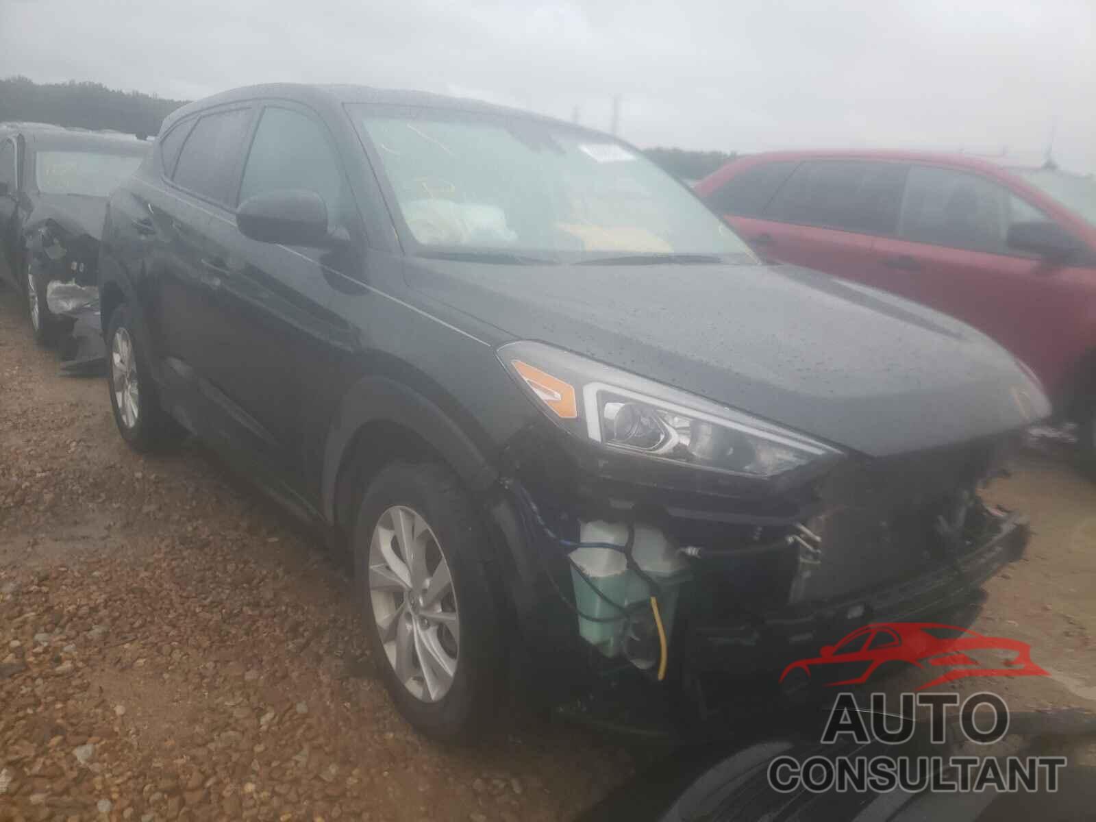 HYUNDAI TUCSON 2019 - KM8J2CA43KU865070