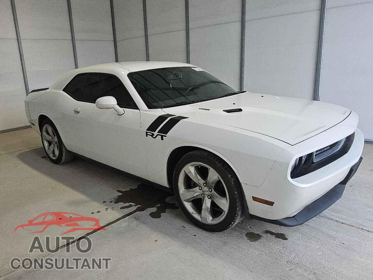 DODGE CHALLENGER 2014 - 2C3CDYBT4EH251652