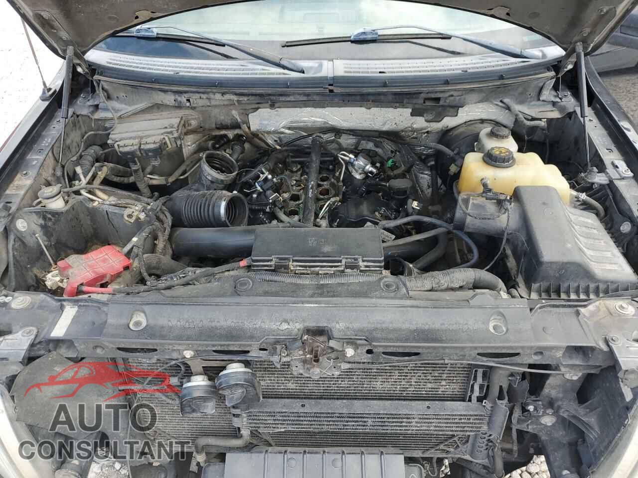 FORD F-150 2013 - 1FTFW1CT2DKD41365