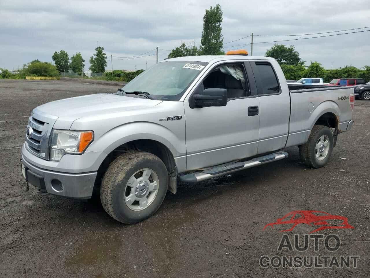 FORD F-150 2011 - 1FTFX1EF4BFA22124