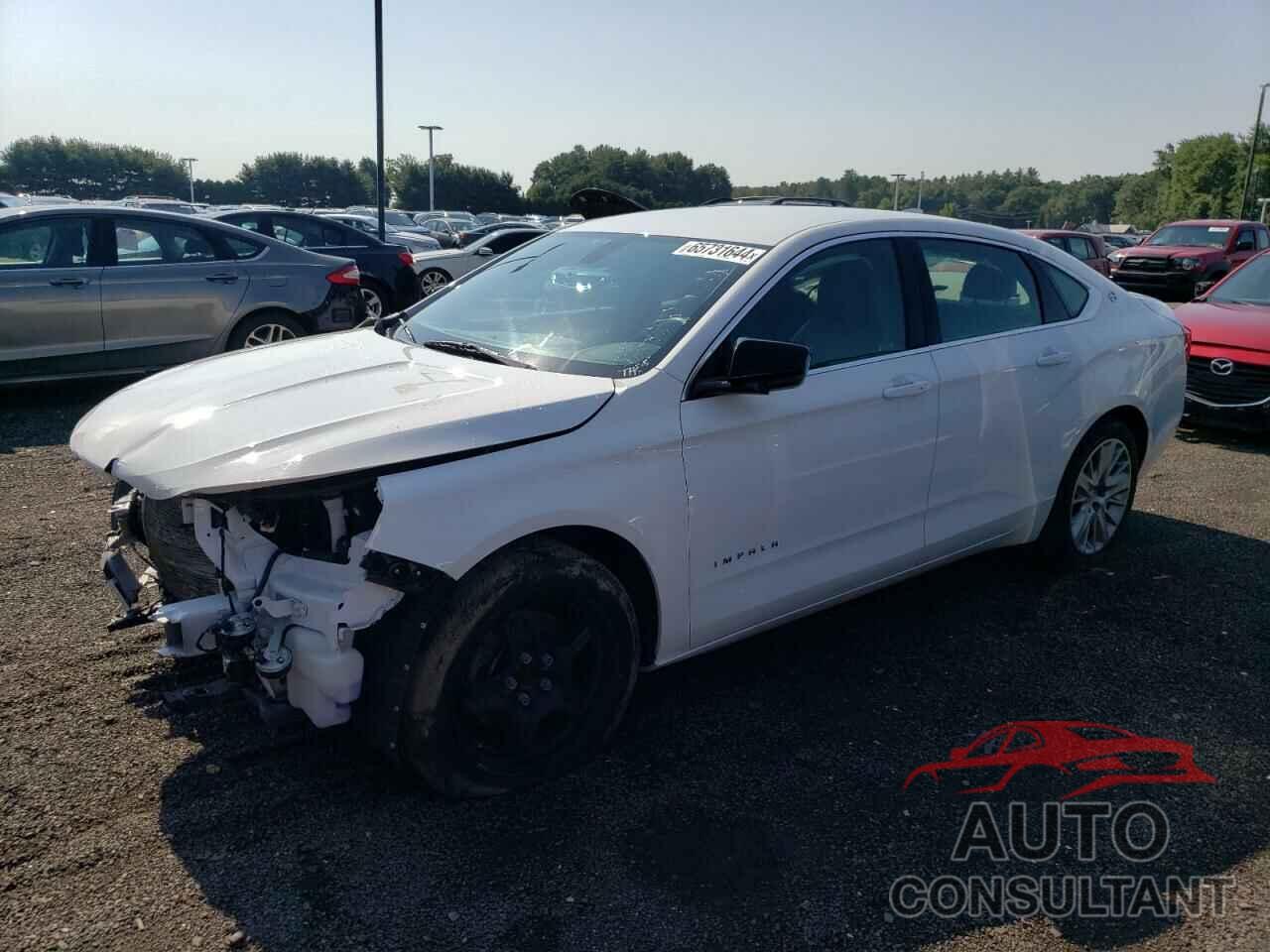 CHEVROLET IMPALA 2019 - 2G11Y5S31K9127813