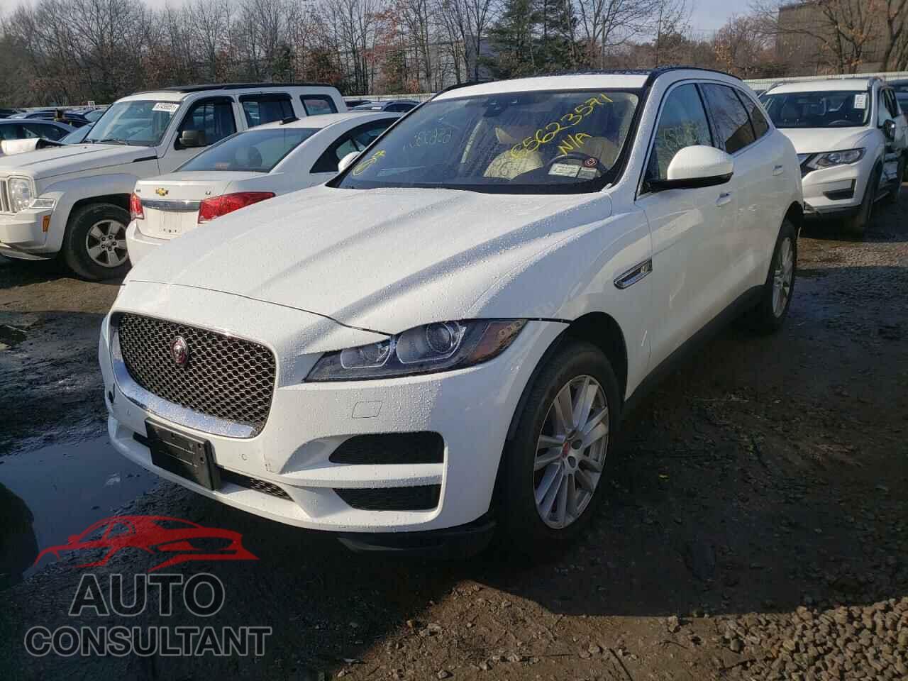 JAGUAR F-PACE 2017 - SADCK2BV7HA097901