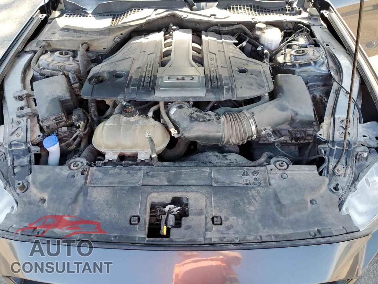 FORD MUSTANG 2019 - 1FA6P8CF4K5186335