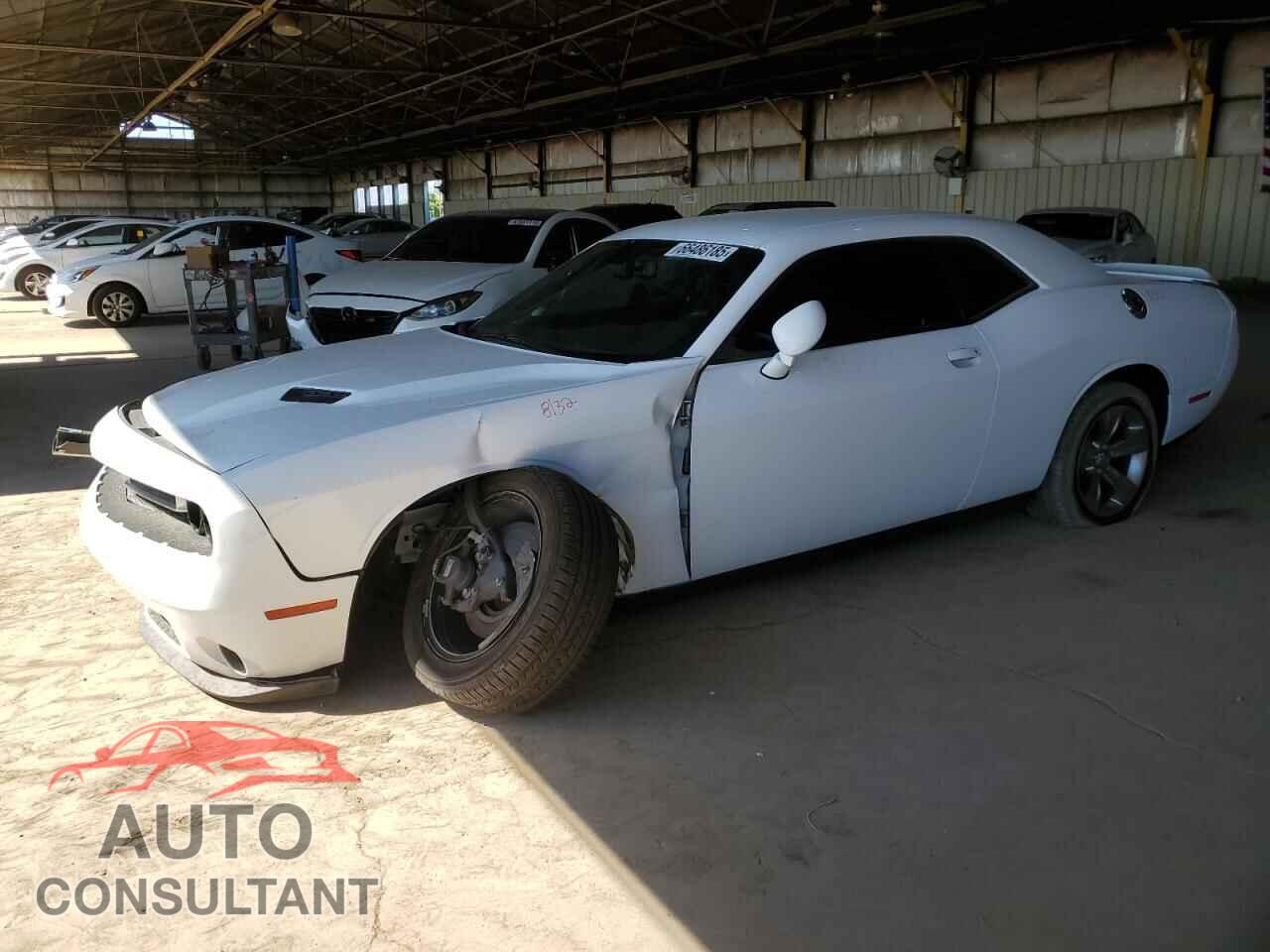 DODGE CHALLENGER 2019 - 2C3CDZAG5KH750725