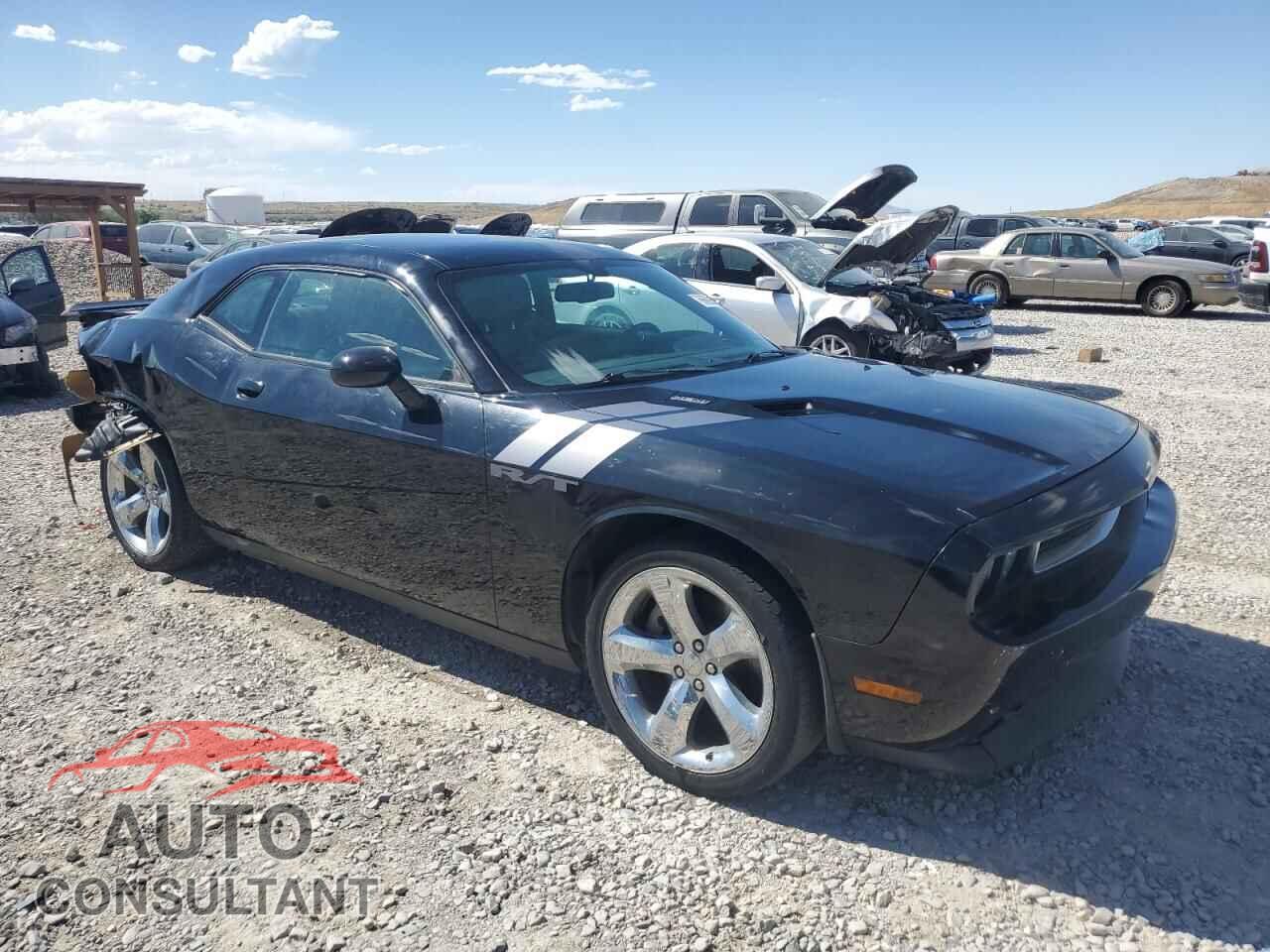 DODGE CHALLENGER 2013 - 2C3CDYBT2DH629336