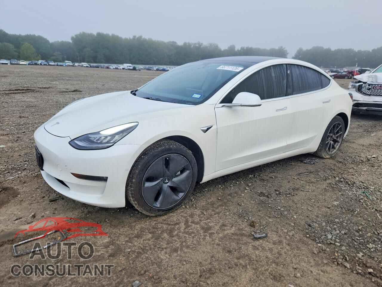 TESLA MODEL 3 2019 - 5YJ3E1EA3KF425111