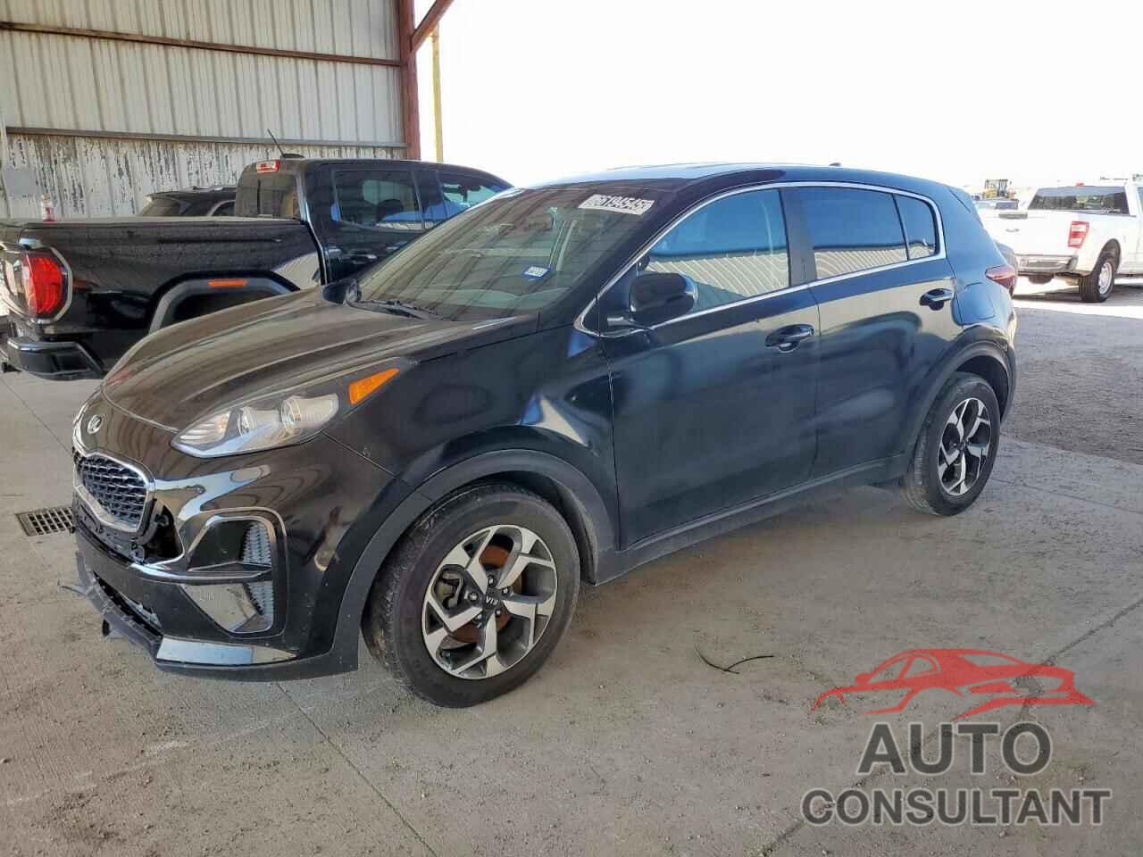 KIA SPORTAGE 2022 - KNDPM3AC6N7023505