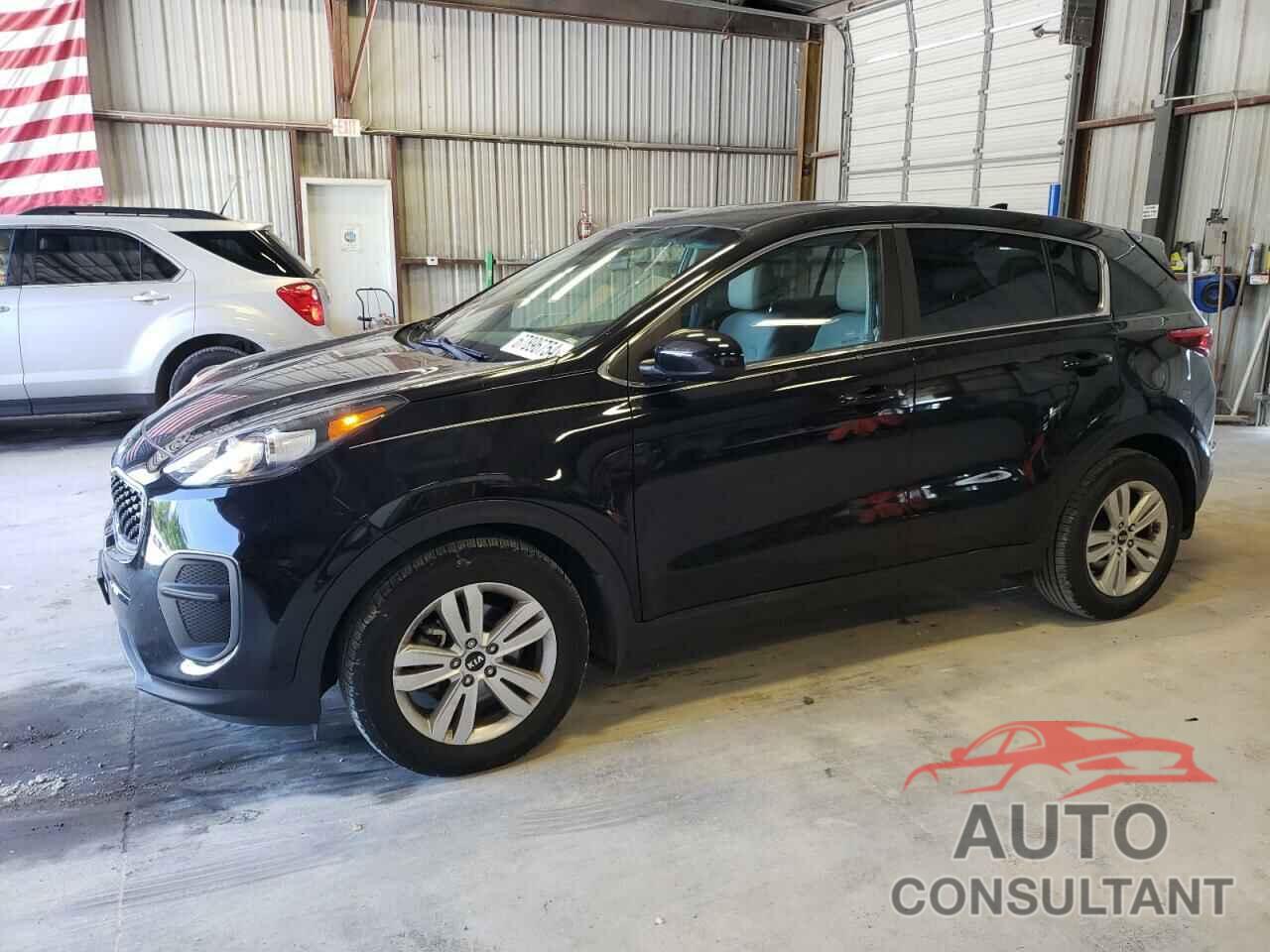 KIA SPORTAGE 2017 - KNDPM3AC5H7166241