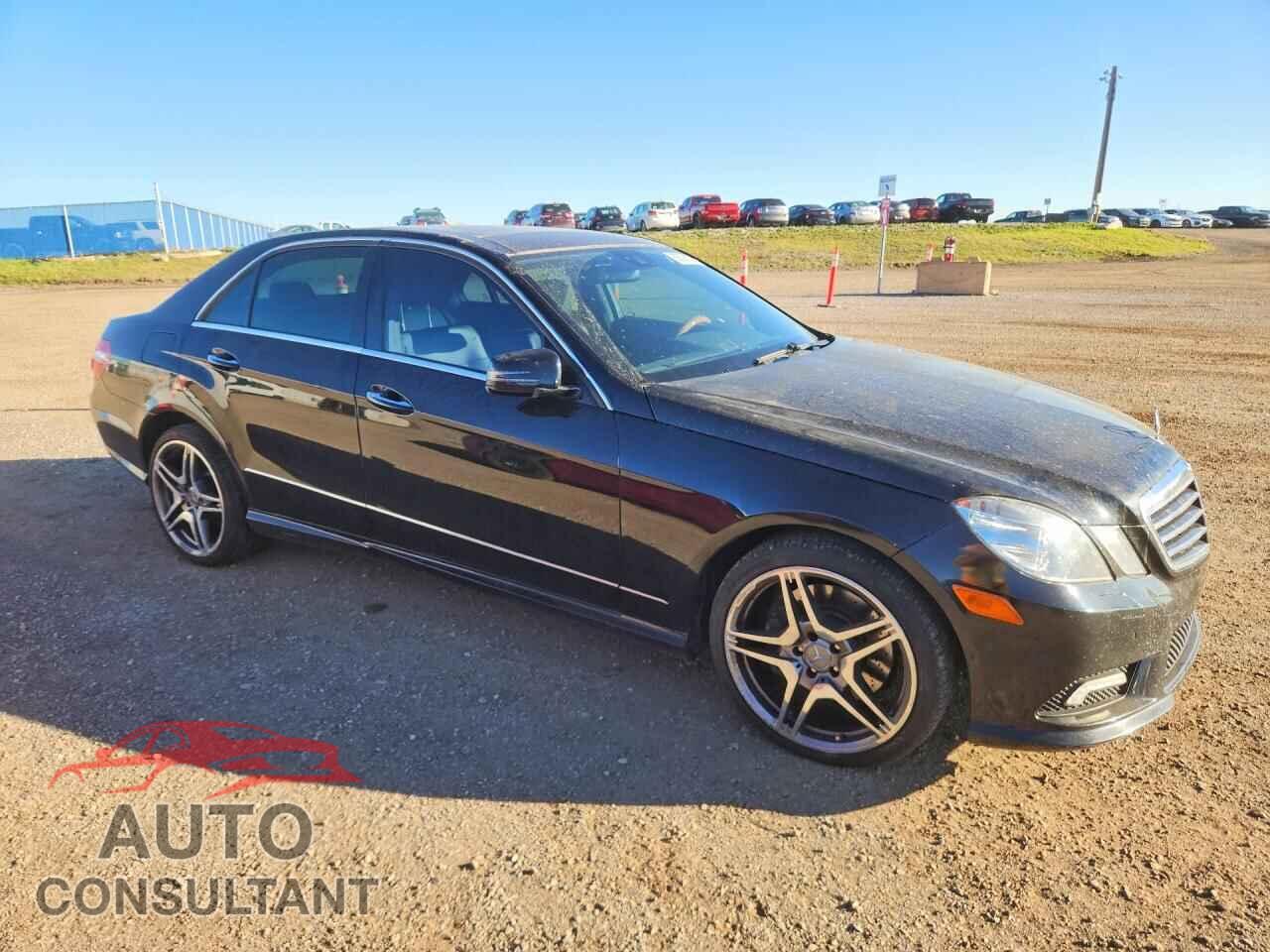 MERCEDES-BENZ E-CLASS 2010 - WDDHF9AB9AA179906