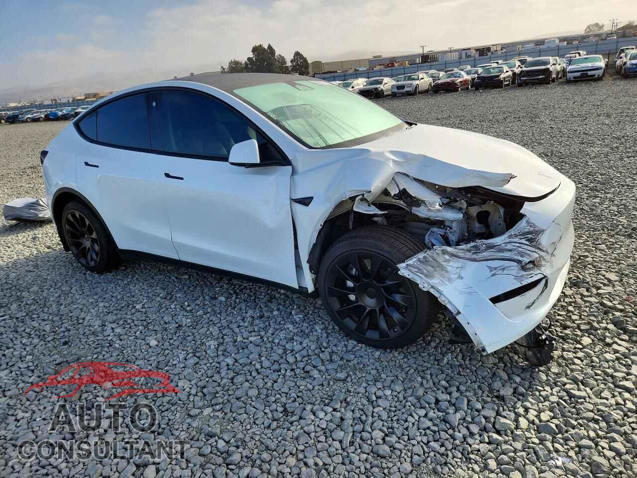 TESLA MODEL Y 2023 - 7SAYGDEE7PF690225