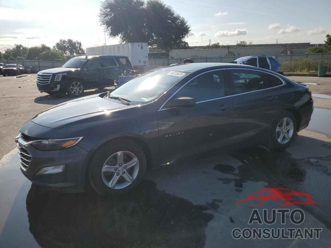 CHEVROLET MALIBU 2019 - 1G1ZB5ST8KF127108
