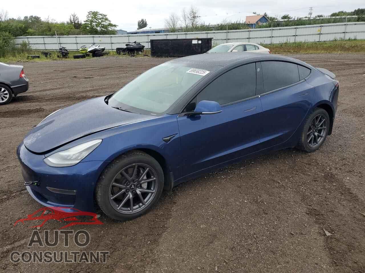 TESLA MODEL 3 2019 - 5YJ3E1EB5KF364966