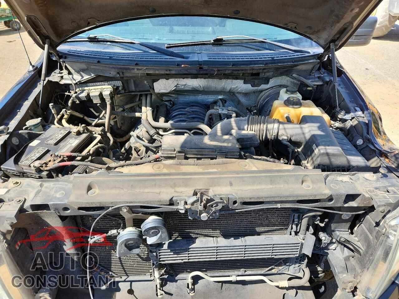 FORD F150 2013 - 1FTFX1CF8DFD15529
