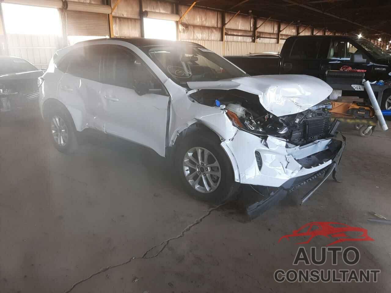 FORD ESCAPE 2020 - 1FMCU0G69LUC21925