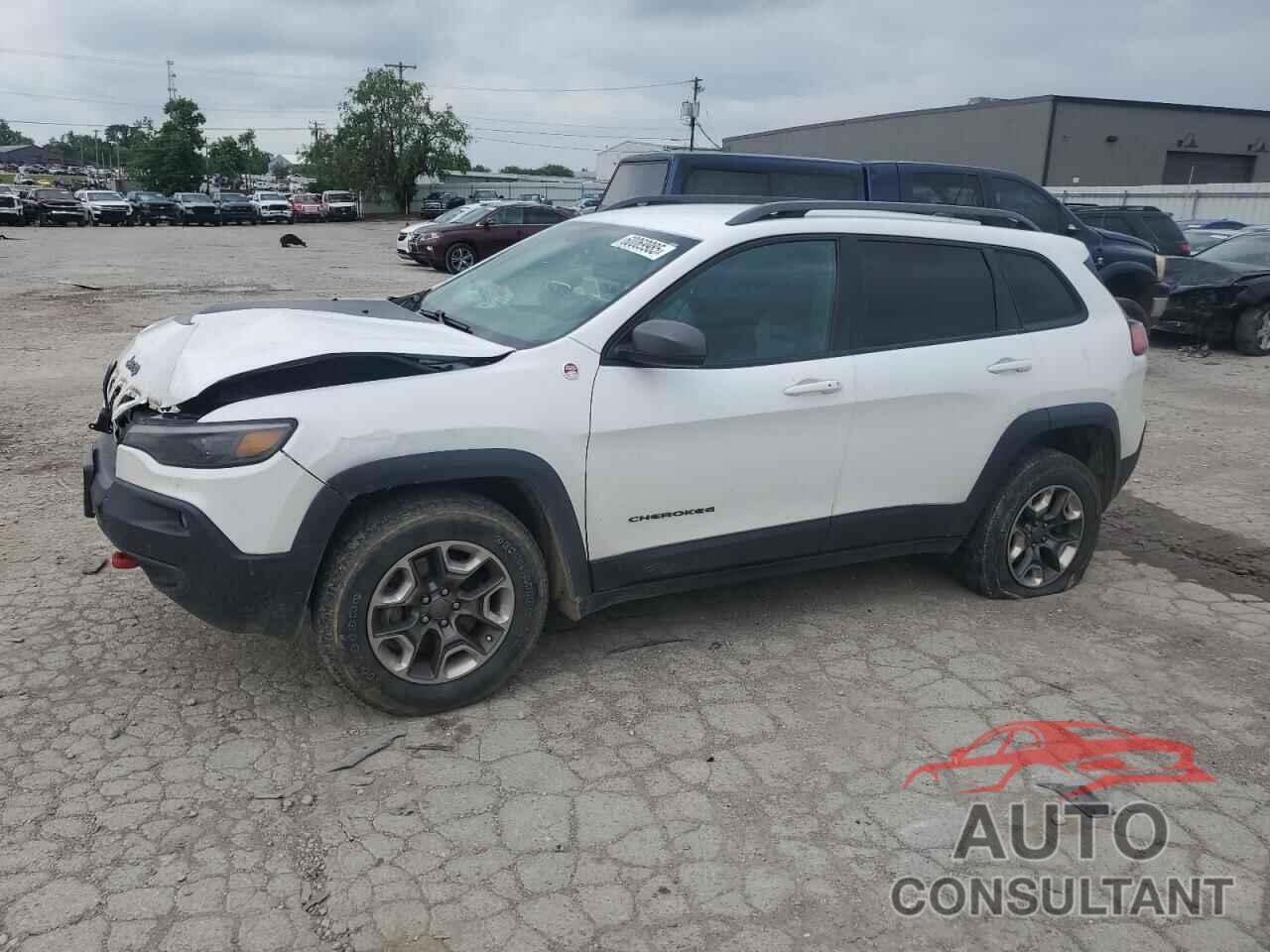 JEEP CHEROKEE 2019 - 1C4PJMBX2KD359438