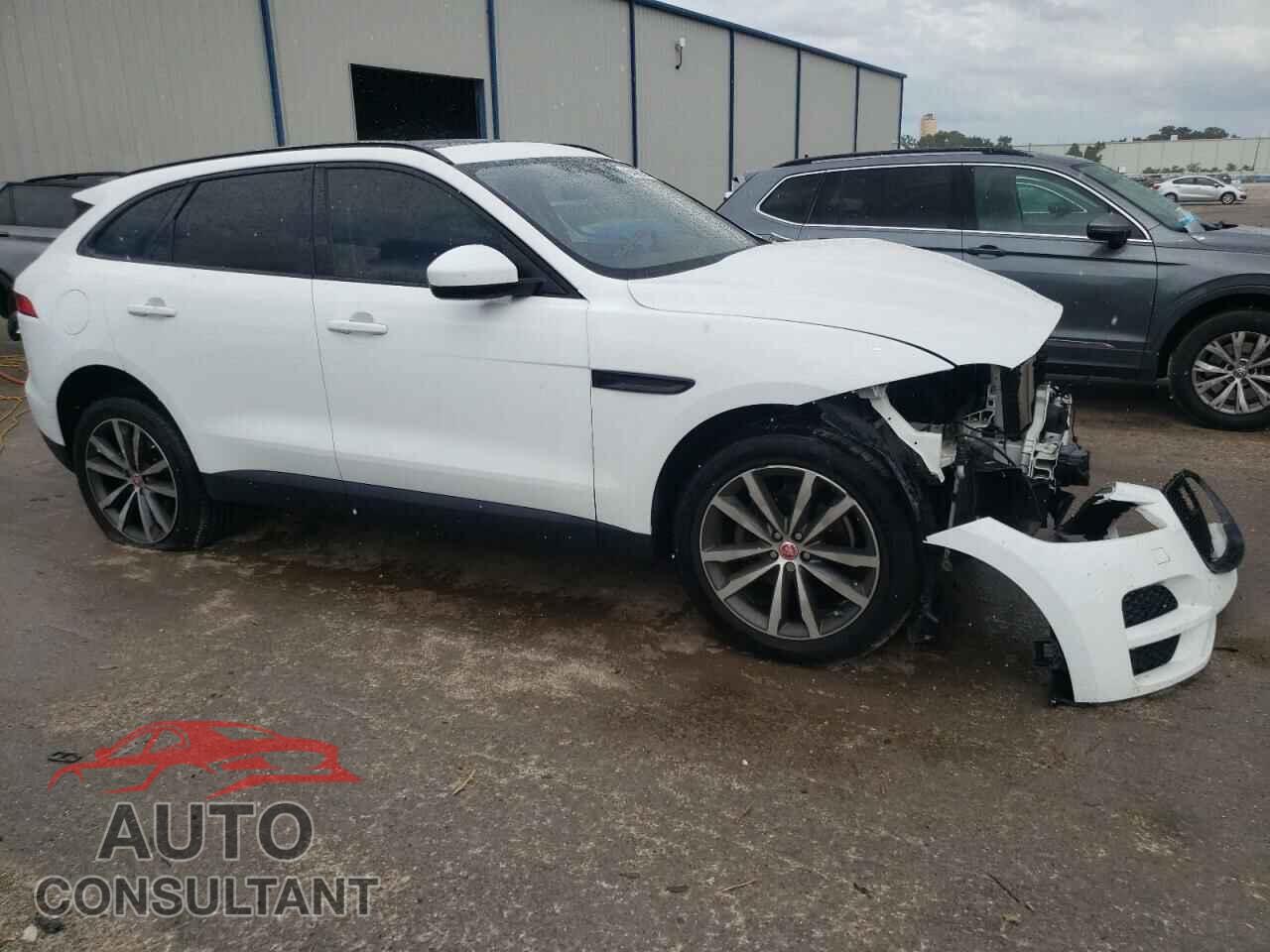 JAGUAR F-PACE 2019 - SADCK2FX6KA366862