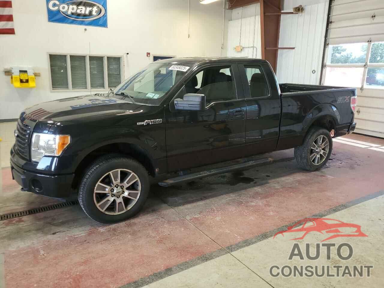 FORD F-150 2014 - 1FTFX1EF3EFC66223