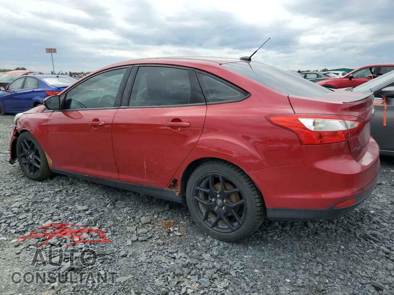 FORD FOCUS 2012 - 1FAHP3F29CL322265
