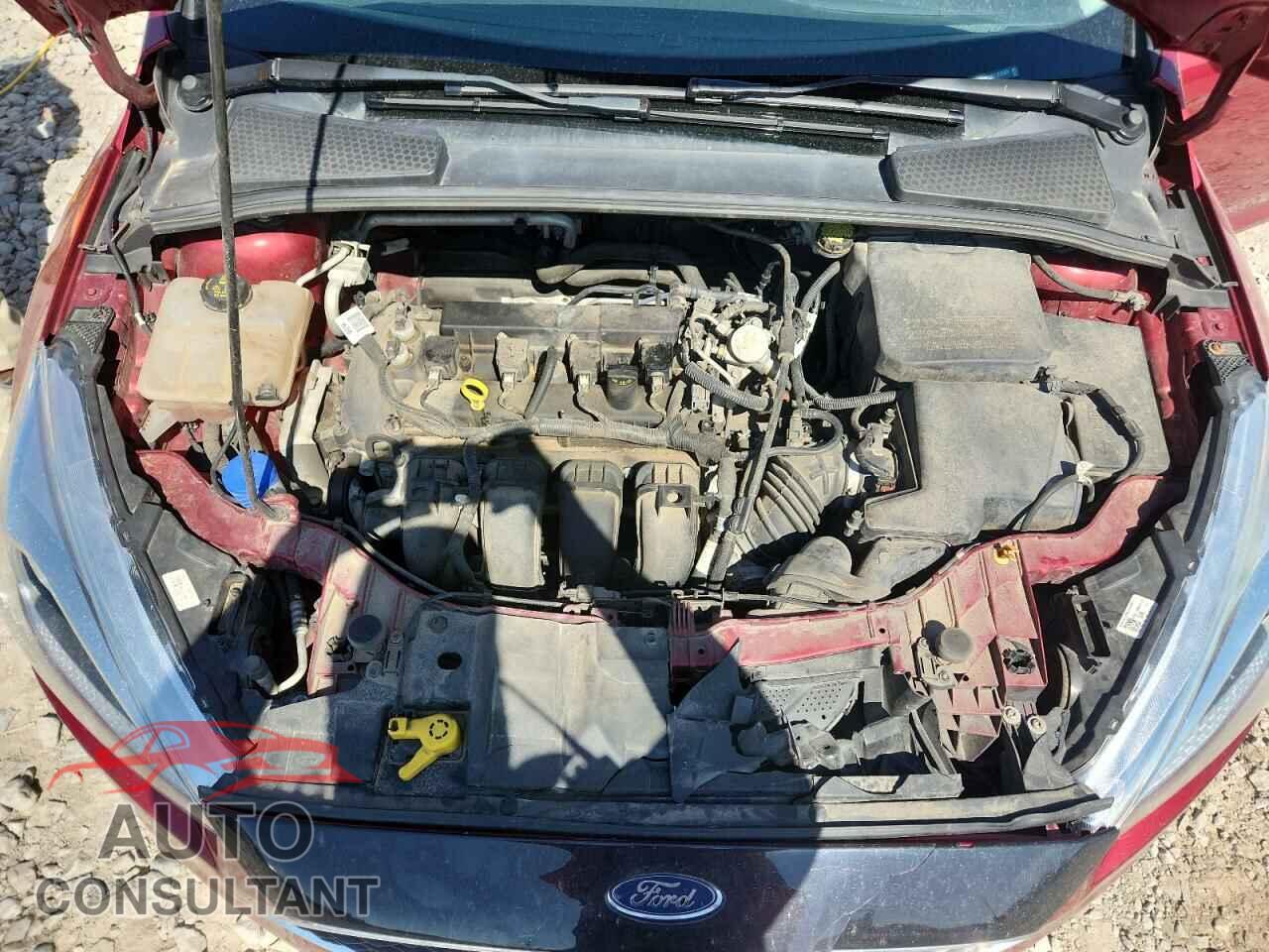 FORD FOCUS 2016 - 1FADP3F29GL353309