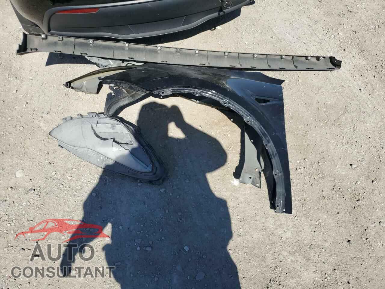 TESLA MODEL Y 2022 - 7SAYGAEE2NF384190