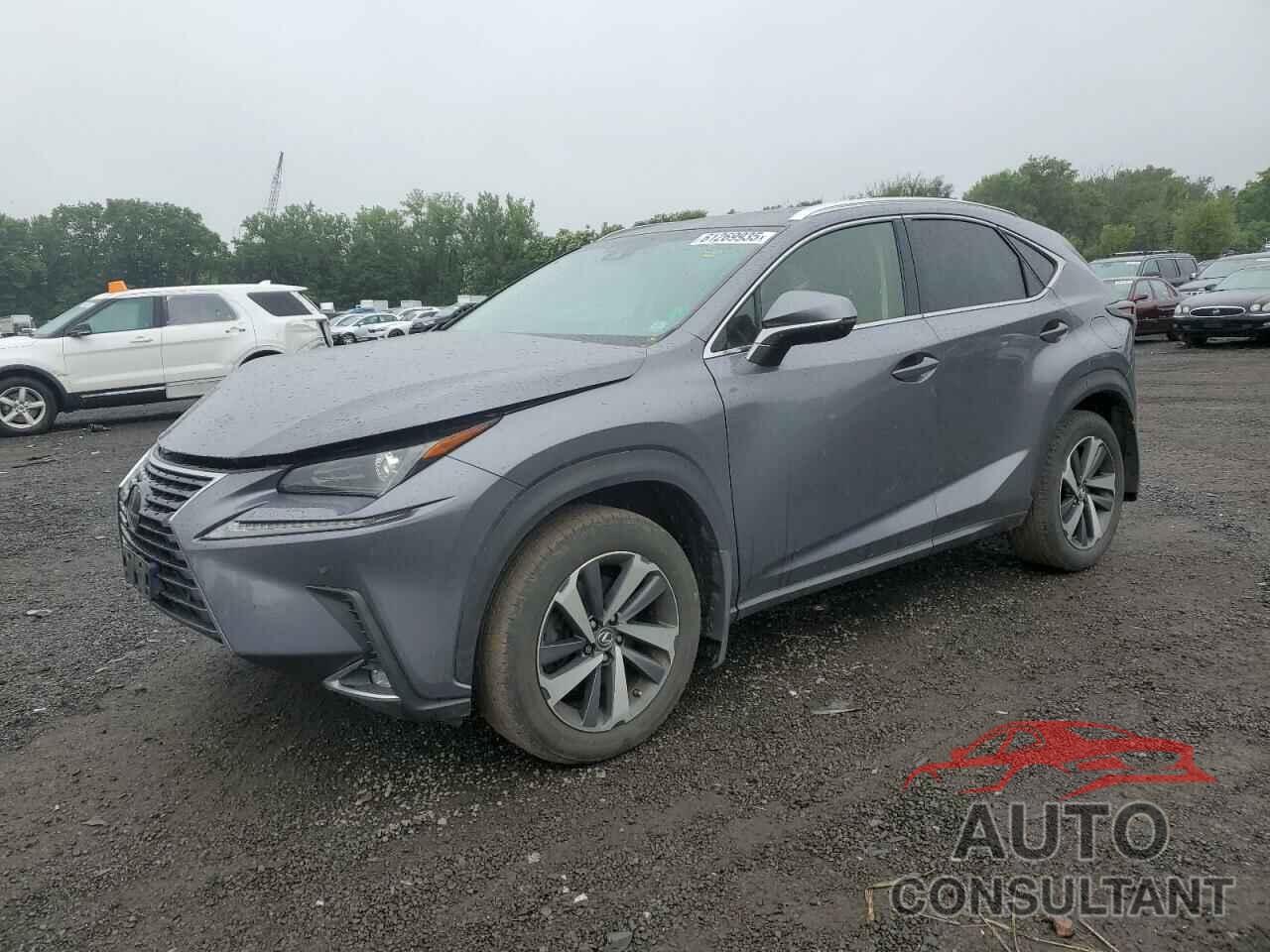 LEXUS NX 2019 - JTJBARBZ8K2184551