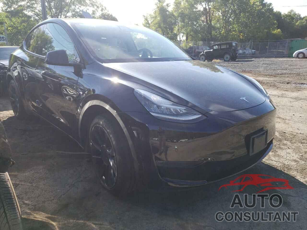 TESLA MODEL Y 2021 - 5YJYGDEE5MF078016