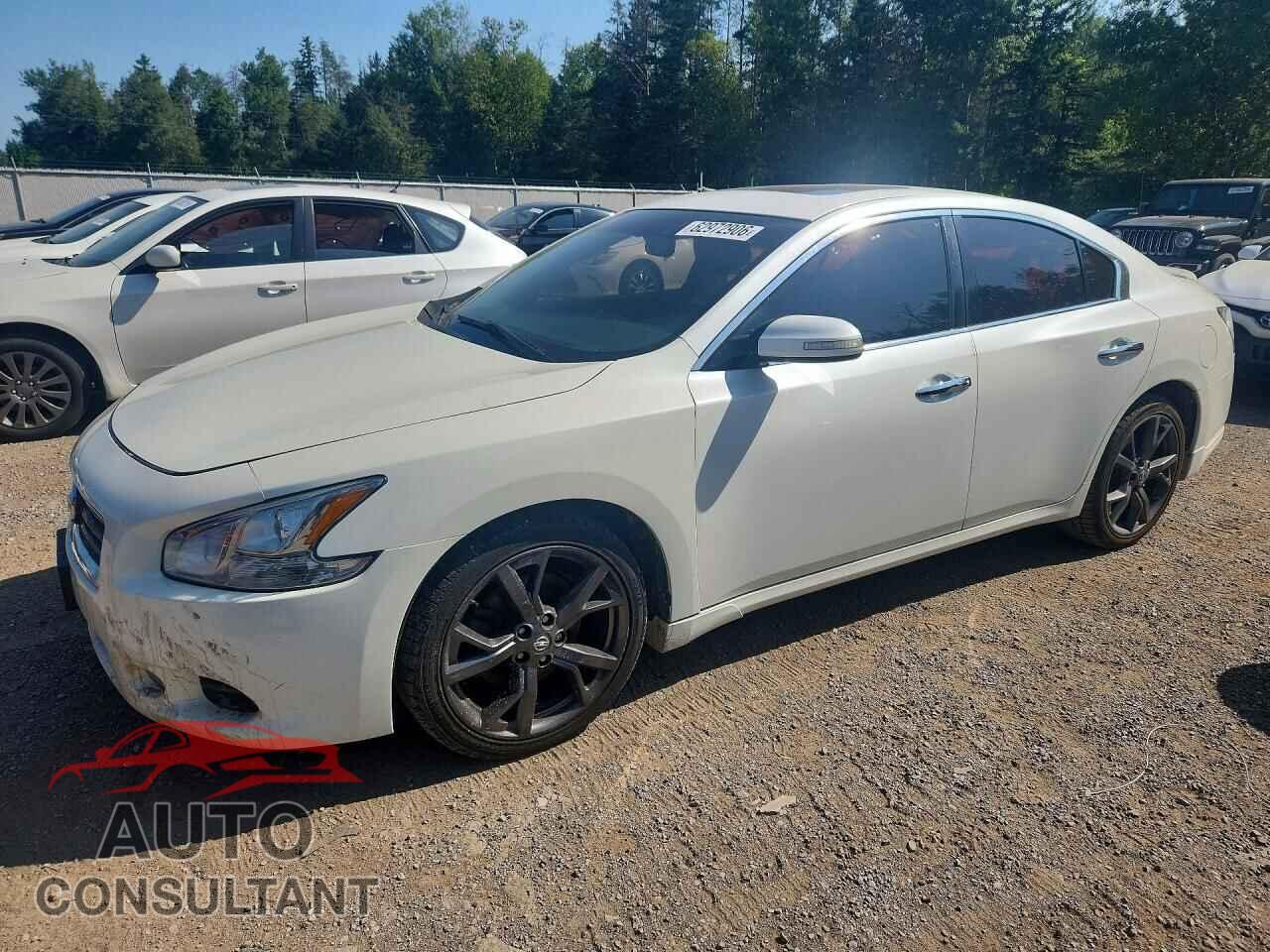 NISSAN MAXIMA 2013 - 1N4AA5AP1DC807907