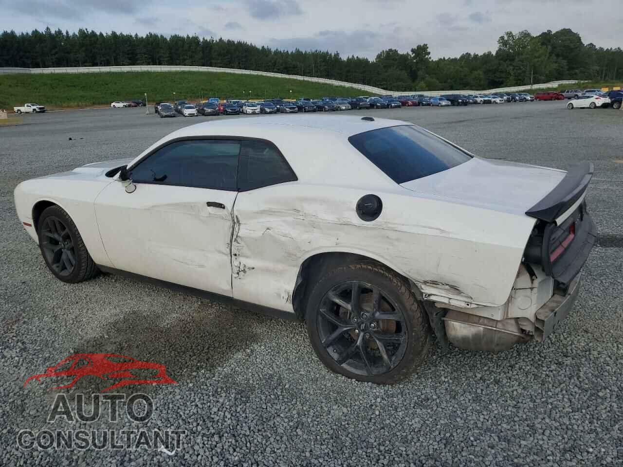 DODGE CHALLENGER 2019 - 2C3CDZAG5KH501311