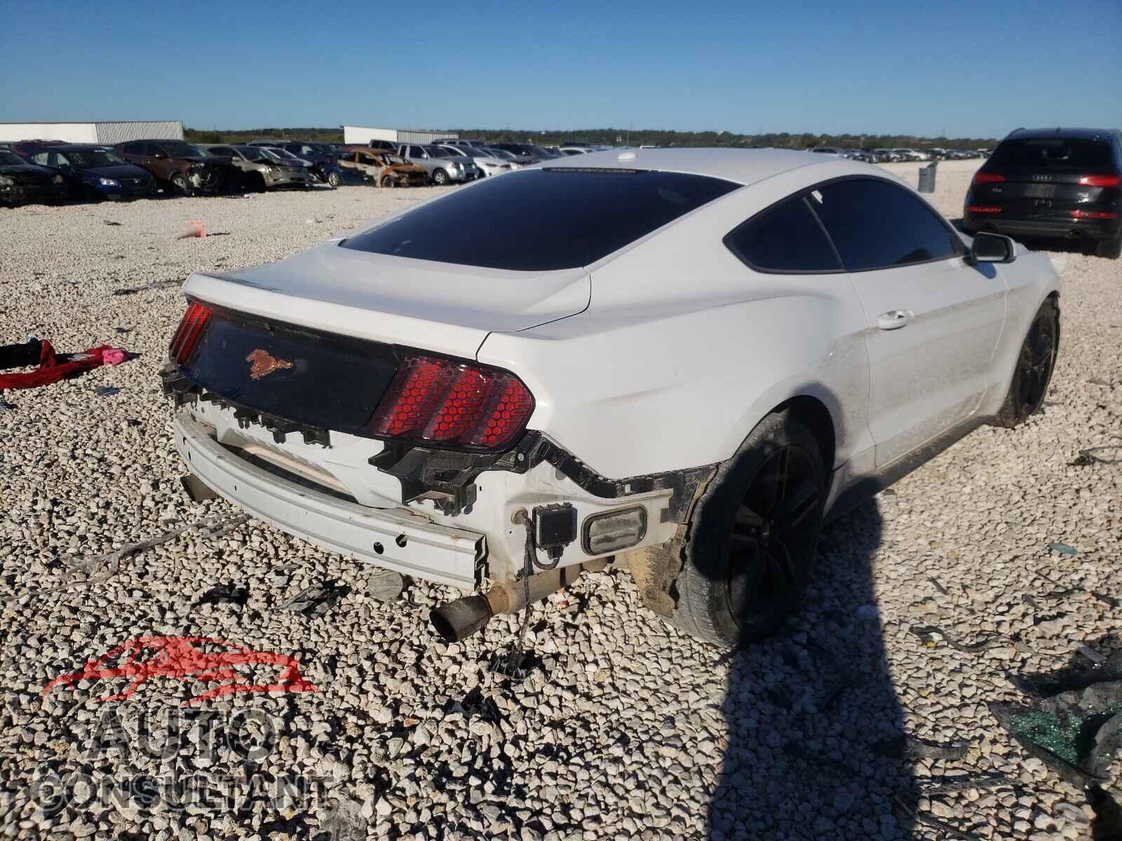 FORD MUSTANG 2017 - 1FA6P8TH5H5309098