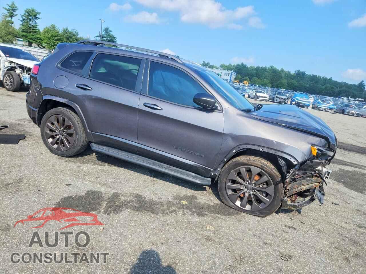 JEEP CHEROKEE 2019 - 1C4PJMDX9KD400080