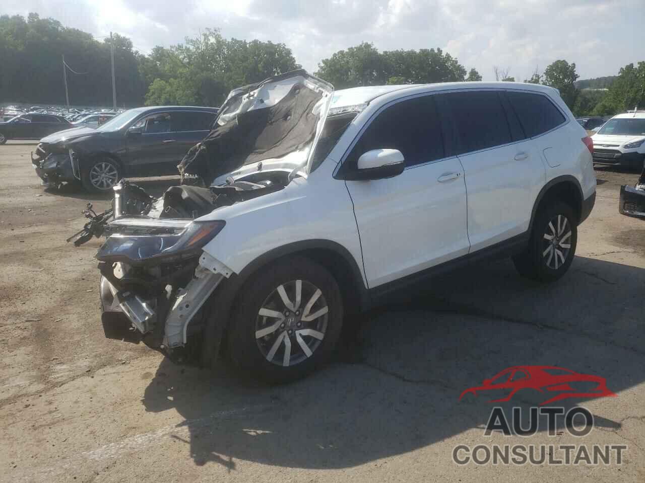 HONDA PILOT 2021 - 5FNYF6H37MB029540