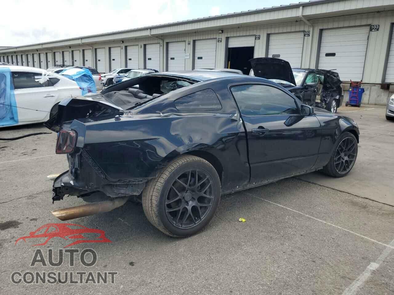 FORD MUSTANG 2010 - 1ZVBP8CH6A5117040