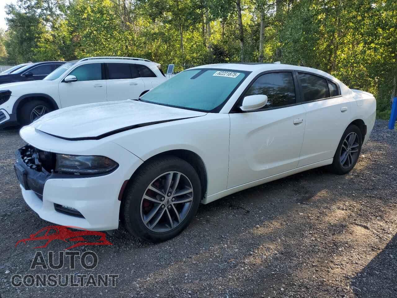 DODGE CHARGER 2019 - 2C3CDXJG2KH616937