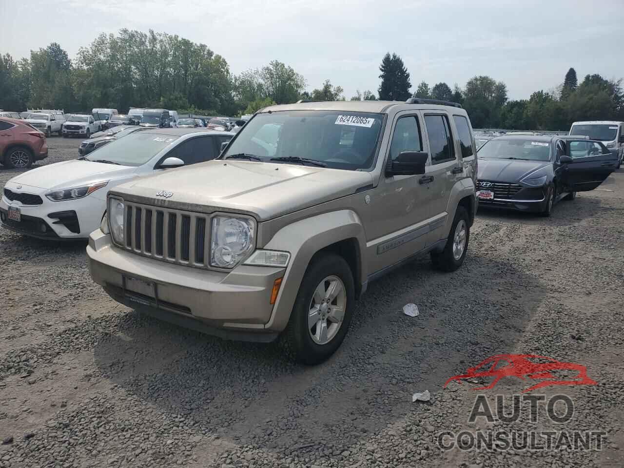 JEEP LIBERTY 2010 - 1J4PN2GK1AW162196
